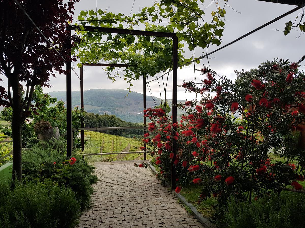 Vila Marim Country Houses Mesão Frio Eksteriør billede