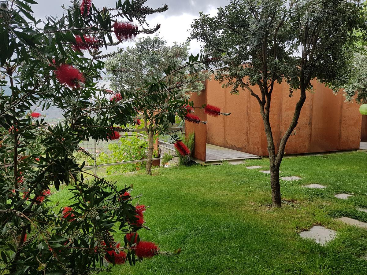 Vila Marim Country Houses Mesão Frio Eksteriør billede
