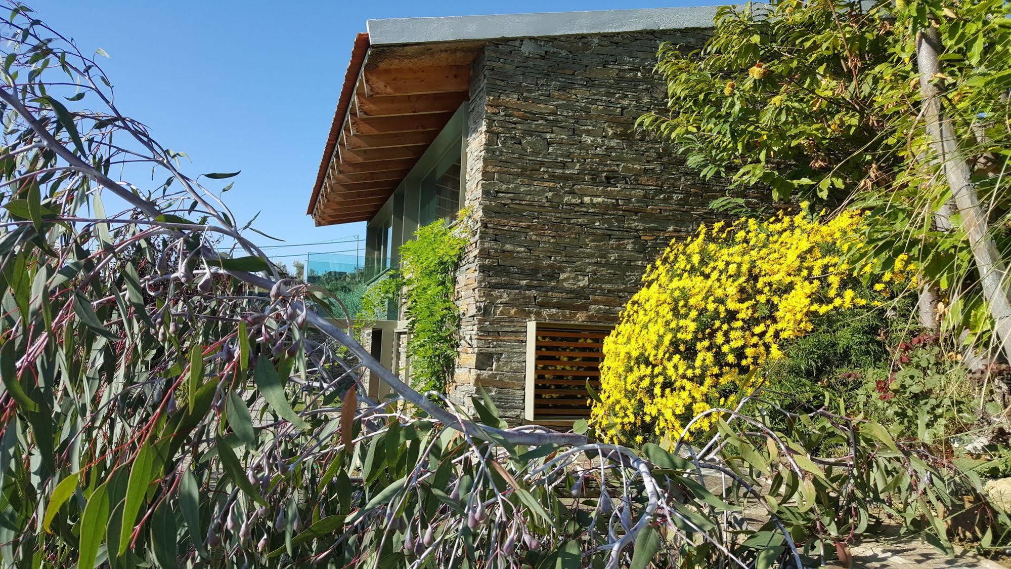Vila Marim Country Houses Mesão Frio Eksteriør billede
